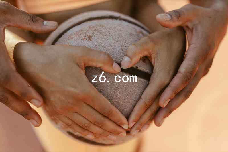 z6.com