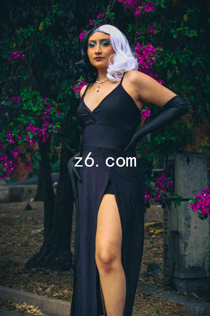 z6.com