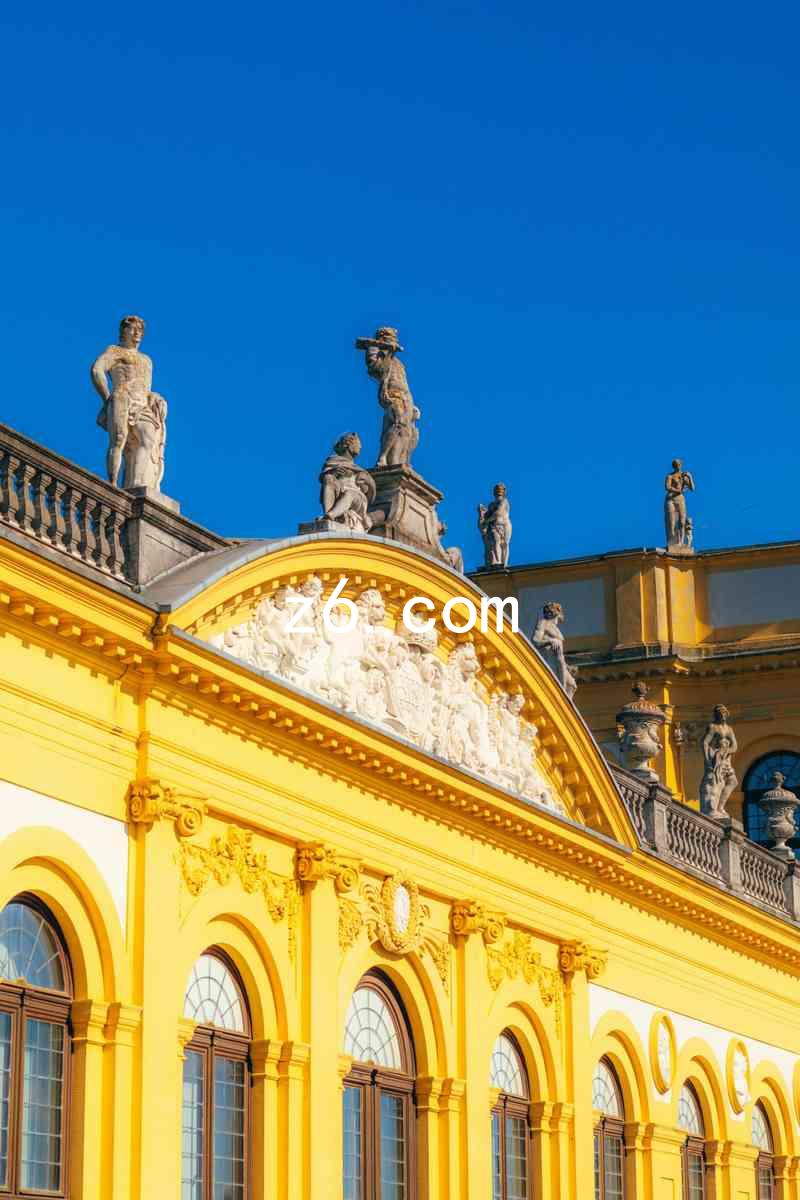 z6.com
